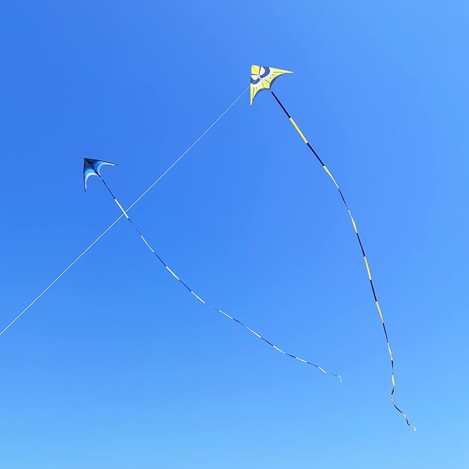 Delta Kite for Kids & Adults - Easy to Fly Large Single Line Beach Kite with 300ft String Handle Included, Perfect for Beginners, Teens