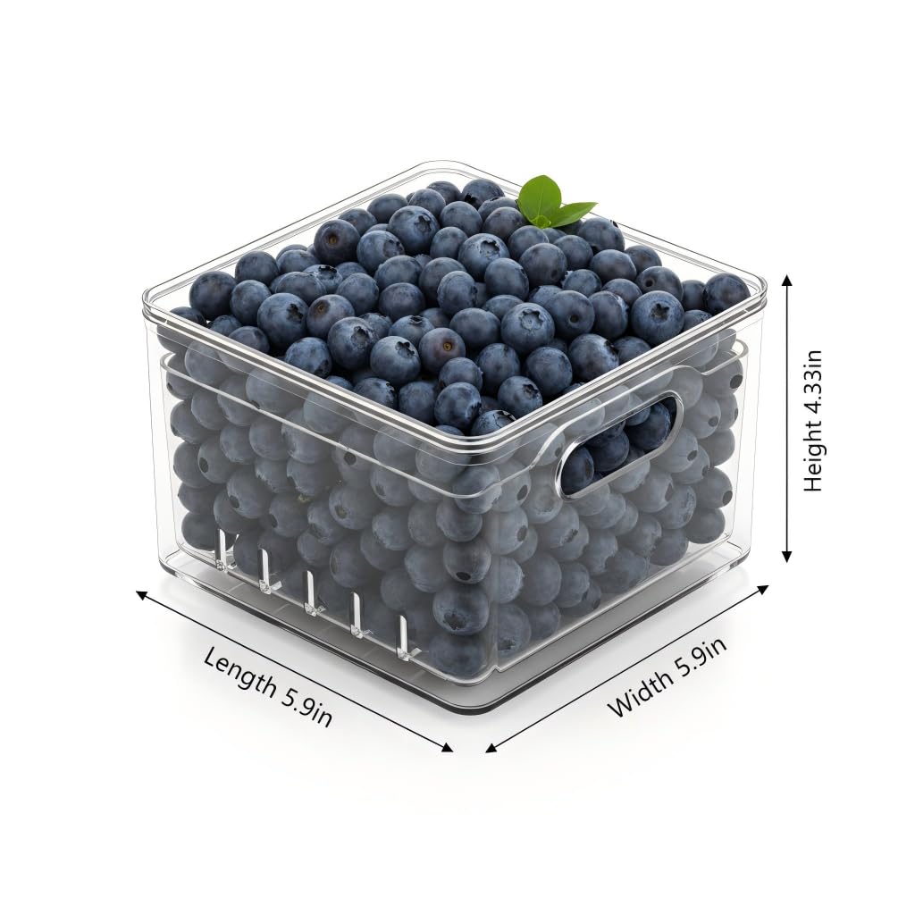 Tayuoo Transparent PET Fruit Draining and Washing colander food storage boxes plastic cookie containers refrigerator organizers (2, Square)
