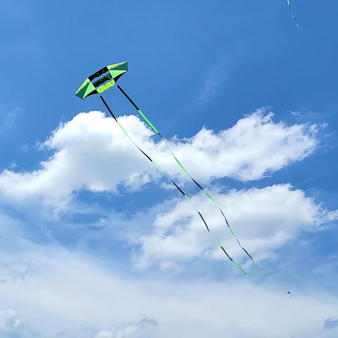 Beach Kites for Adults Large with Long Tail, 98 inches Super Easy Flyer 3D Rainbow Box Kites, Comes with Two 49 Feet Multi Colors Tails, 300 ft Kite String & Handle