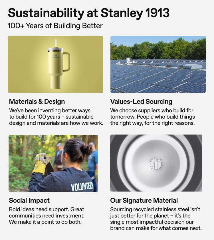 STANLEY Quencher H2.0 Tumbler - 30 oz Insulated Stainless Steel Cup with Handle & Straw | Cherry Blossom