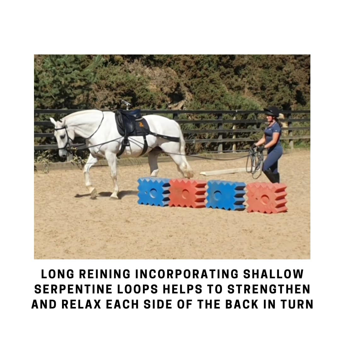 Equine Band System - Core Training Aid for Horses. Saddle Pad and Equibands System (All Purpose)