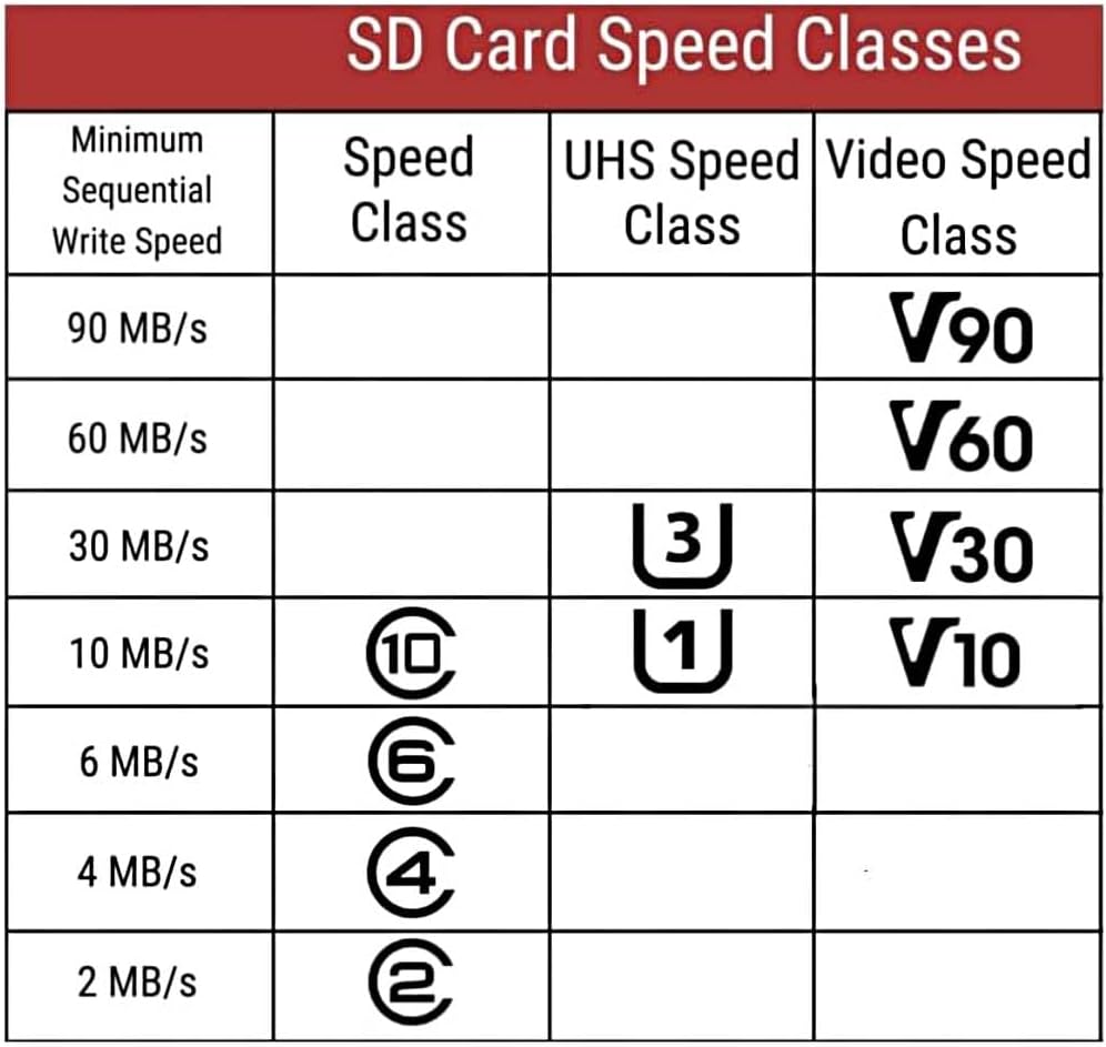 SECULINK FAT32 10 24/7 (32GB) TF Memory Card Format Class High Speed Reading/Writing Recording for Security Camera Dash