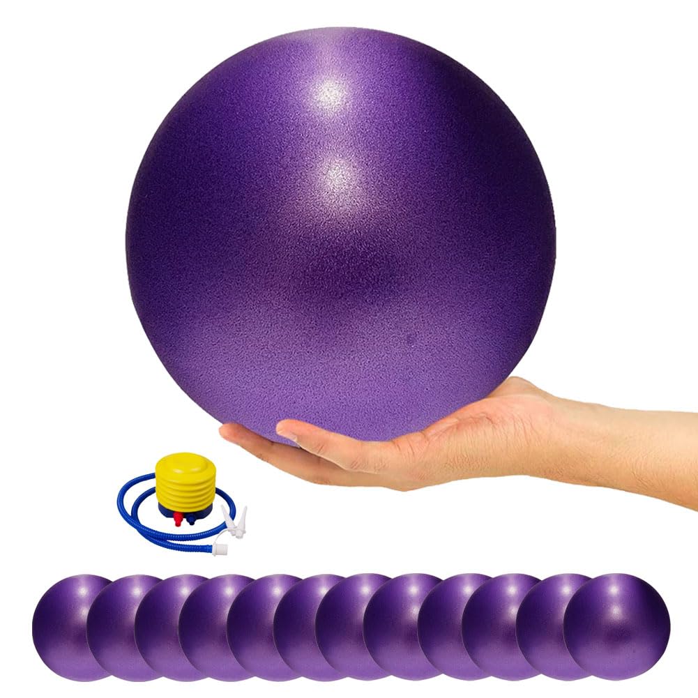 ElwynnLane 9 Inch Exercise Pilates Ball Mini Exercise Barre Ball for Yoga,Stability Exercise Training Gym Anti Burst and Slip Resistant Balls Physical Therapy Improves Balance, Core Strength
