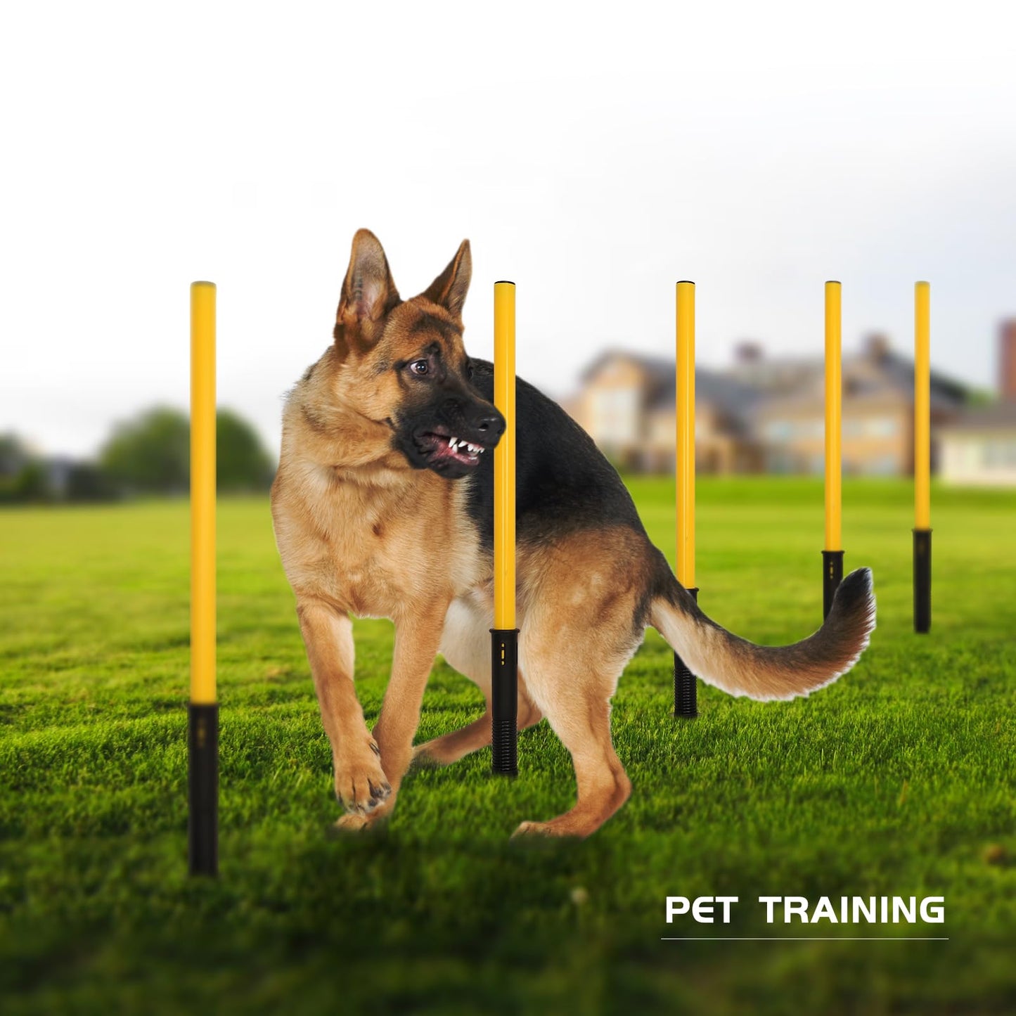 LTTGX Soccer Agility Training Poles Set: Football Speed Training Equipment with 6Soccer Agility Poles Adjustable Height Hurdles for Basketball Athletes Youth