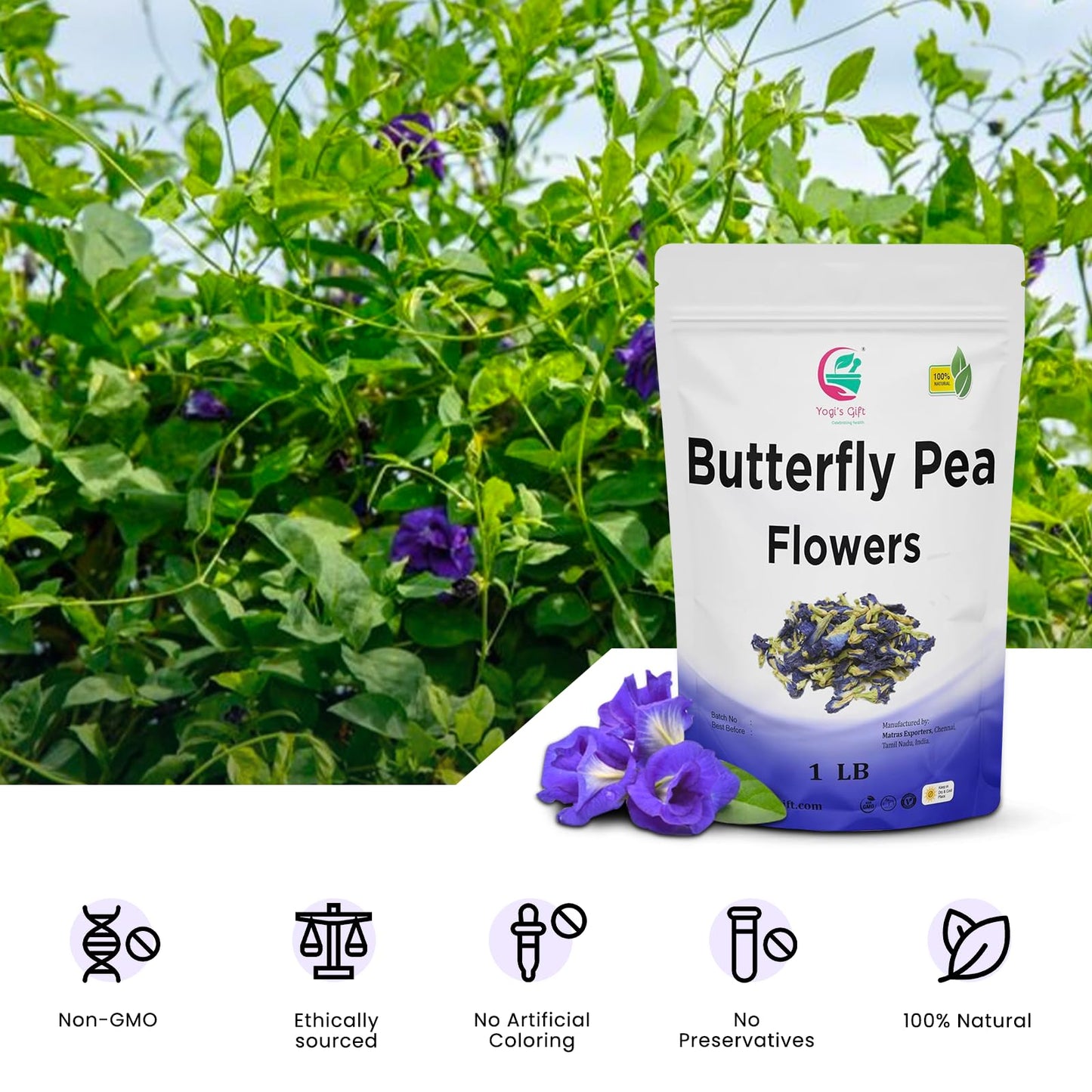 Butterfly Pea Flower Dried 1 LB (1000+ Cups) | Blue Butterfly Pea Flower Tea | Beautiful Blue Or Purple Food Coloring | Premium Quality | By Yogi's Giftยฎ