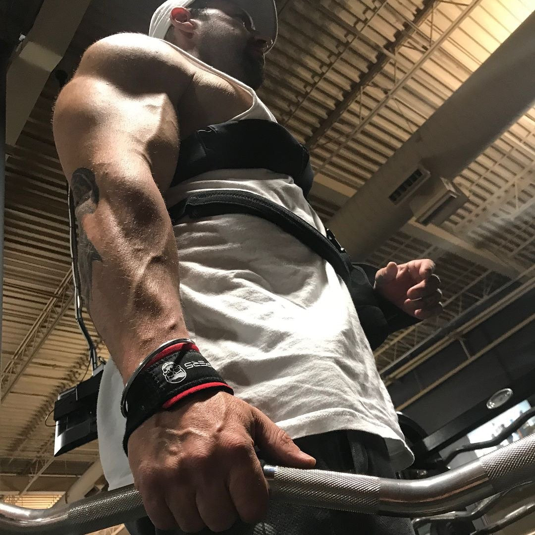 Gymreapers Lifting Wrist Straps for Weightlifting, Bodybuilding, Powerlifting, Strength Training, & Deadlifts - Padded Neoprene with 18" Cotton (Black/Red)