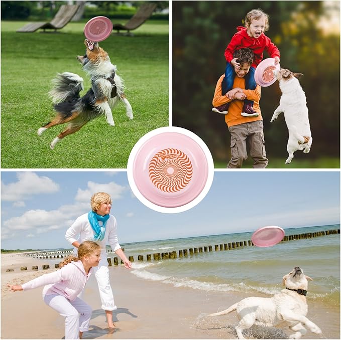 Wham-O Frisbee Fastback Flying Disc, 9.35 Inch Dog-Friendly Lightweight Sports Disc Toy for Outdoor Beach Backyard Games,Team Sports and Family Fun - 100g