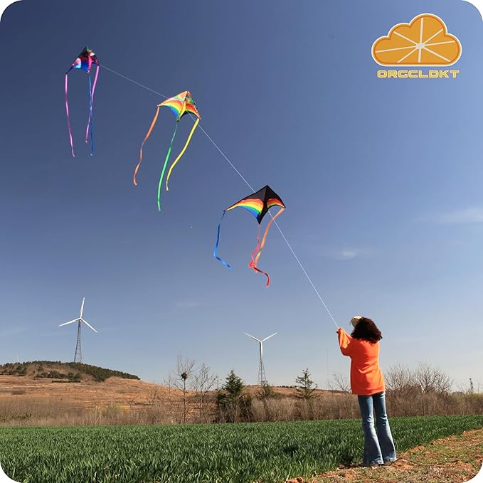 ORGCLDKT-Rainbow Cruiser Delta Kite, Kites for Kids Ages 8-12,4-8,Boys,Girls,Kites for Adults,Beach,Beginners,Giant.1Pc or 3Pcs Pack. Easy to Fly.