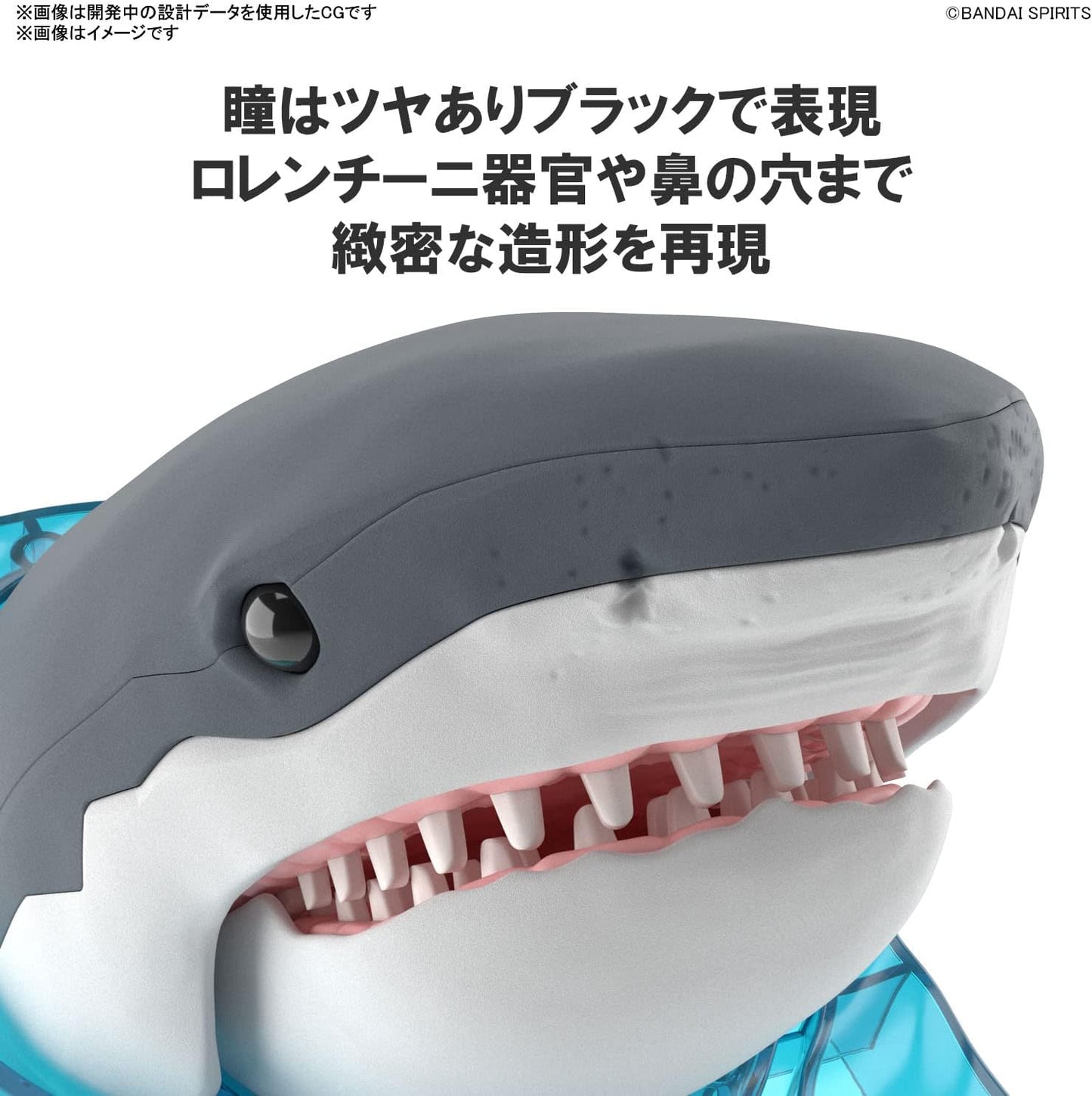 Bandai Hobby - Nature Exploration Great White Shark Model Kit