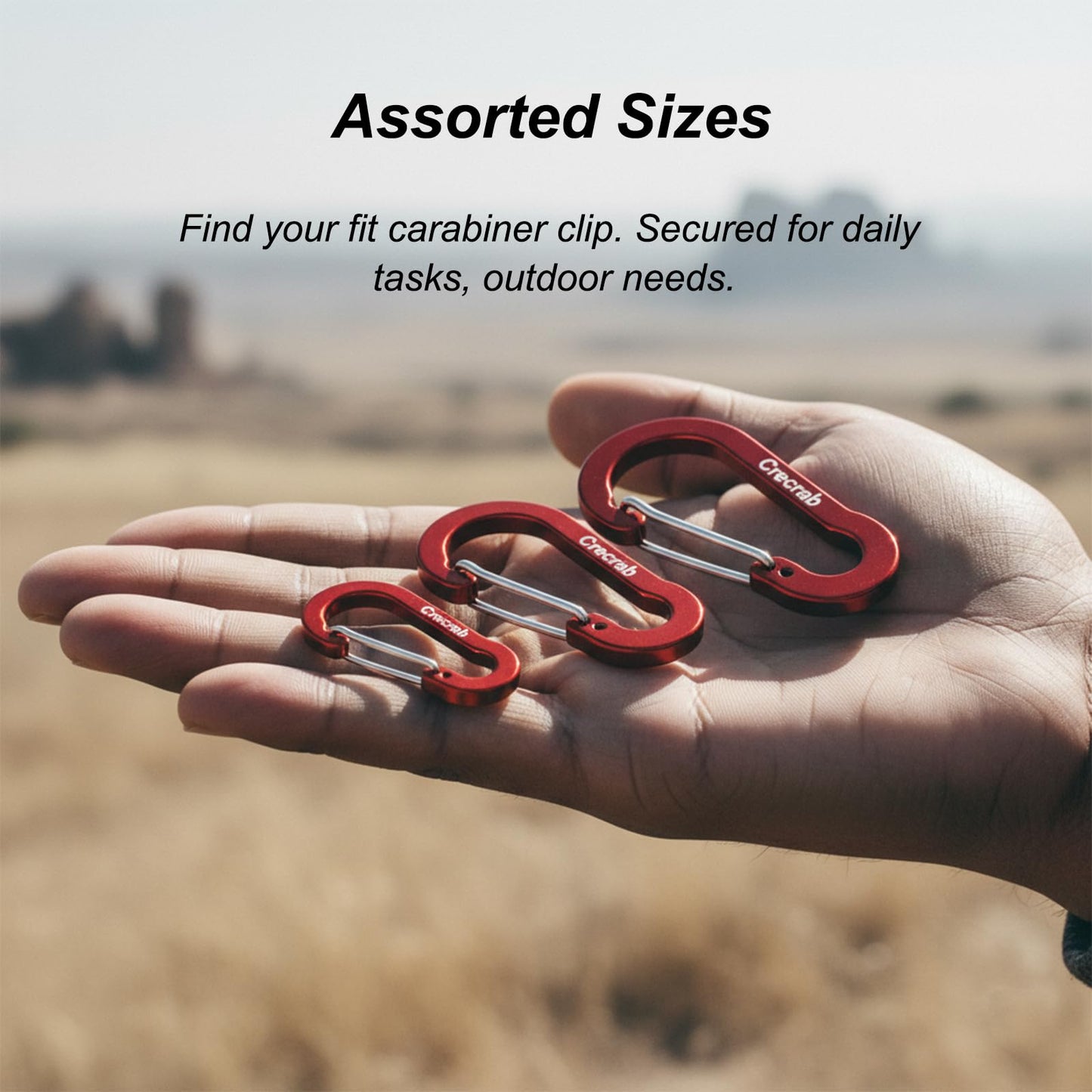 Carabiner Clips Assorted Sizes Pack, Includes Small 2 Inch Carbineers, Medium 2.4" Caribiner, Large 2.8 Inch Caribeaner Heavy Duty, Aluminum Carabiner for Backpack (Black)