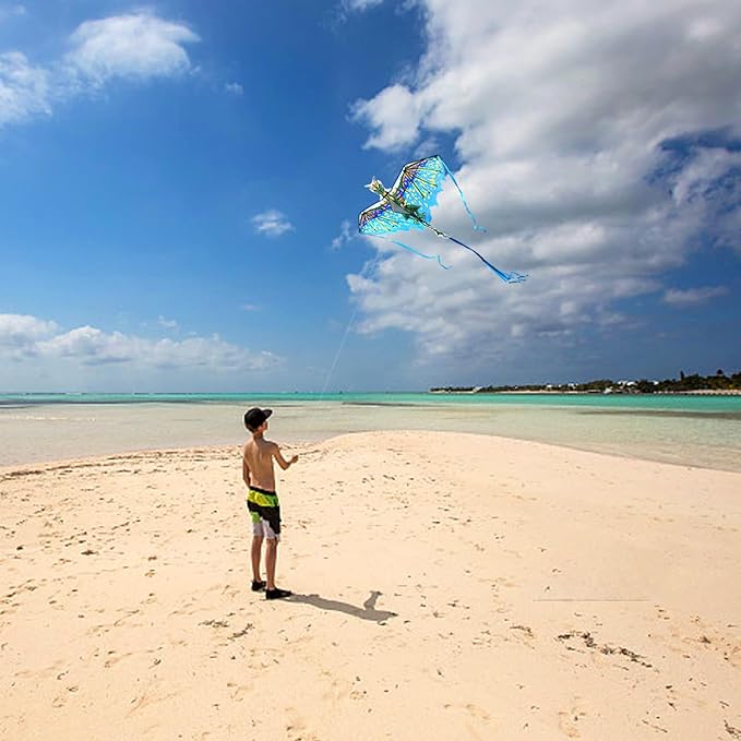 Mint's Colorful Life Dragon Kite for Kids & Adults, Easy to Fly Best Beach Kites for Beginners, 300ft Kite String Included