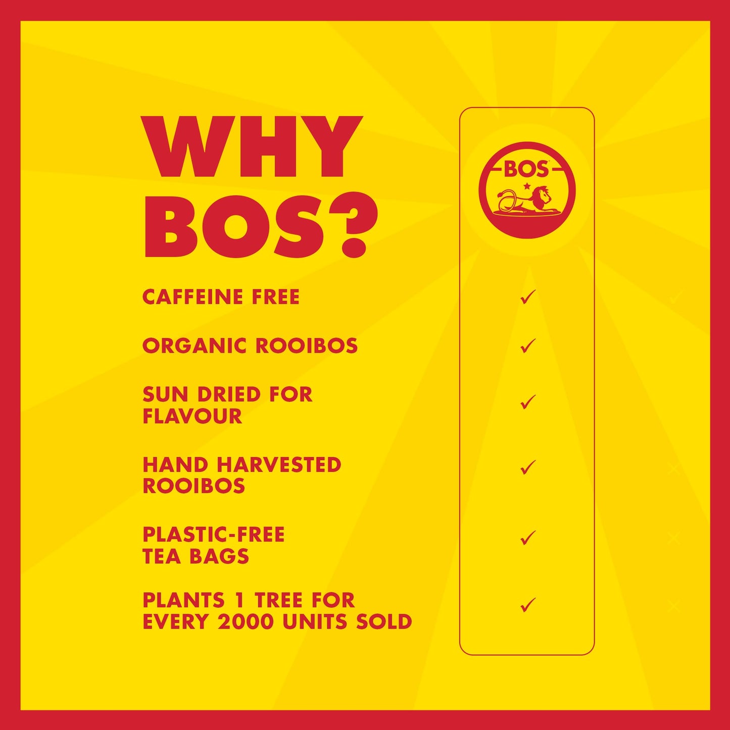 Organic Rooibos Tea Bags - 100 Count - Caffeine Free, Naturally Sweet, Antioxidant-Rich - Rooibos Tea Organic Made In South Africa - BOS