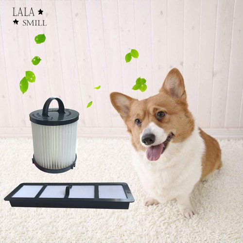 Lala Smill Replacement Upright Vacuum HEPA Filter EF-6 and DCF-21 EF91B Dust Cup Filter for Eureka Airspeed AS1000, AS1001, AS1004A, AS1002A, AS1050, AS1101A,AS1061A Series