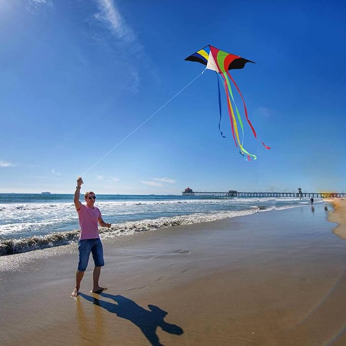 Mint's Colorful Life Kite Set for Kids and Adults, Easy to Fly Butterfly Delta Airplane Dragon Octopus Kite, Large Beach Kites Kits with 300ft String, Best for Gifts & Family Outings