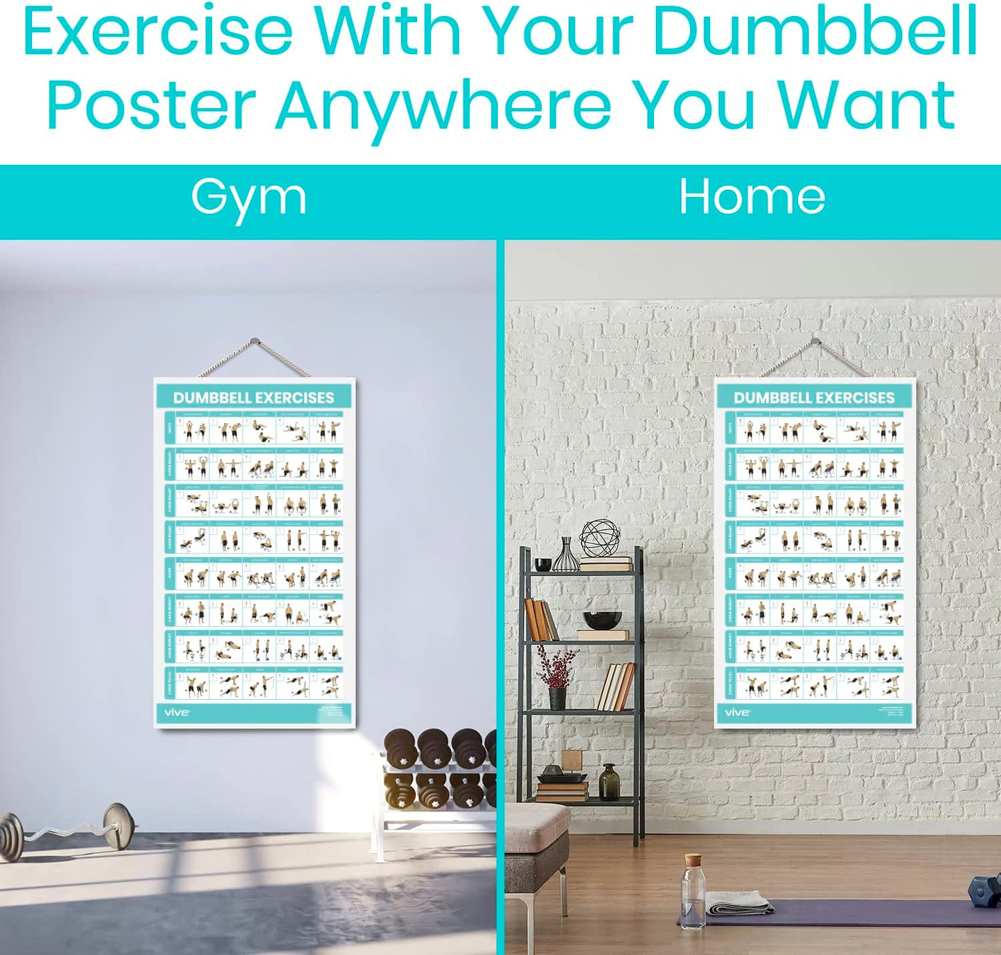 Vive Dumbbell Workout Poster - Comprehensive Home Gym Exercise Guide | Laminated Bodyweight Chart (30" x 17")