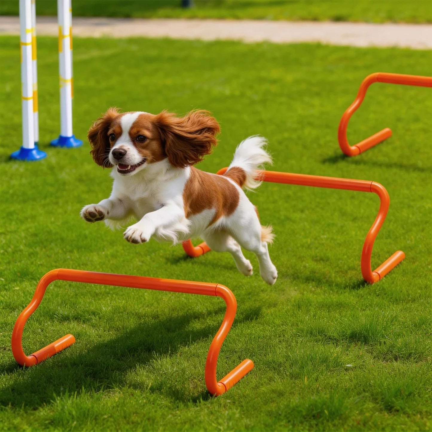 Eorbow 10 Pack 9" Agility Hurdles, Plastic Speed Agility Training Hurdle, Detachable Sturdy Plyometric Hurdles, Training Equipment Set with Carry Bag for Football, Soccer, Basketball, Athletes