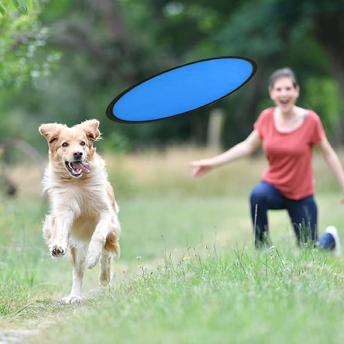 Mototo 30 Pieces Foldable Flying Disc Fans with Bag Folding Pocket Toy Set for Kids Fun Birthday Party Favors Summer Outdoor Activity Game Halloween Christmas, 6 Colors (Colorful 2)