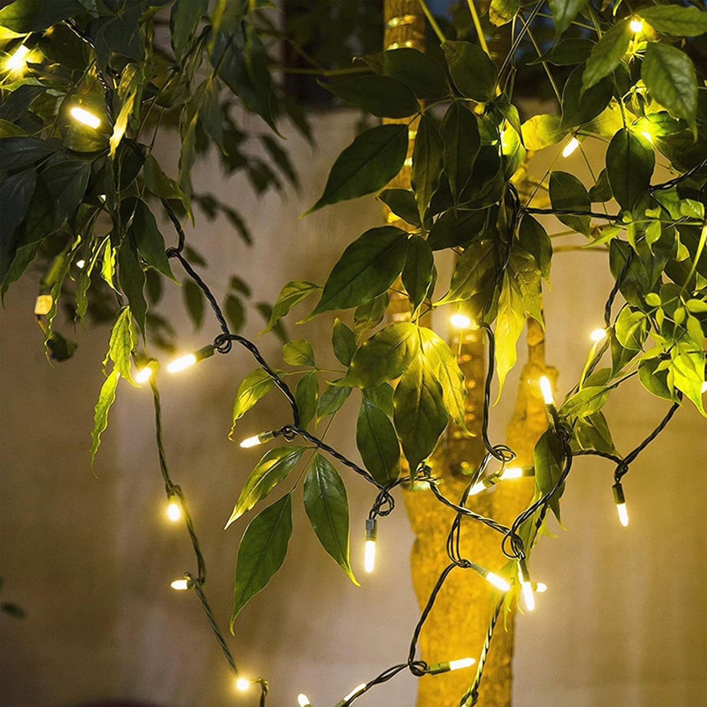 Skiennix 100-Count Warm White LED Christmas String Lights - 35 Ft Connectable Green Wire for Indoor/Outdoor Use