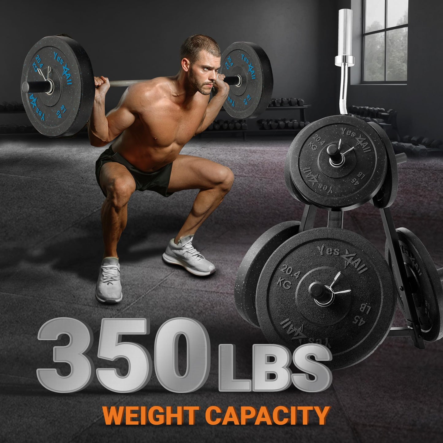 Yes4All Weight Rack, 1 & 2-Inch Plate Bumper Plate Rack, 350 lbs Capacity Barbell Weight Rack for Home Gym Training
