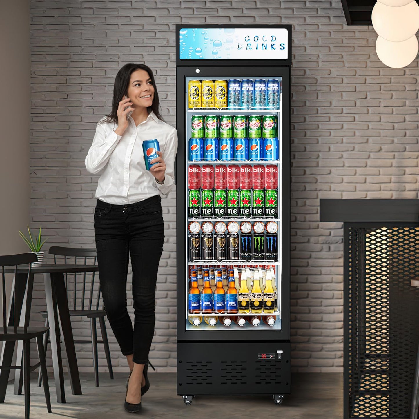 FreezLabs Glass Door Refrigerator Commercial Beverage Refrigerators with LED Light, 11 Cu.ft and 5 Shelves, Display Refrigerator for Cafe Restaurant Store Bar