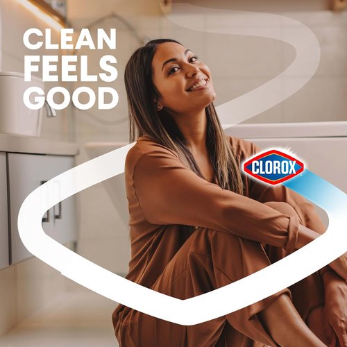 Clorox Toilet Bowl Cleaner - Heavy-Duty Stain & Ring Remover | Arctic Clean, 24 Fl Oz, Pack of 2
