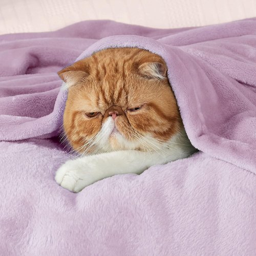 Bedsure GentleSoft Fleece Blanket - Cozy Throw for Kids, Perfect for Travel | 43x55 Inches, Lilac