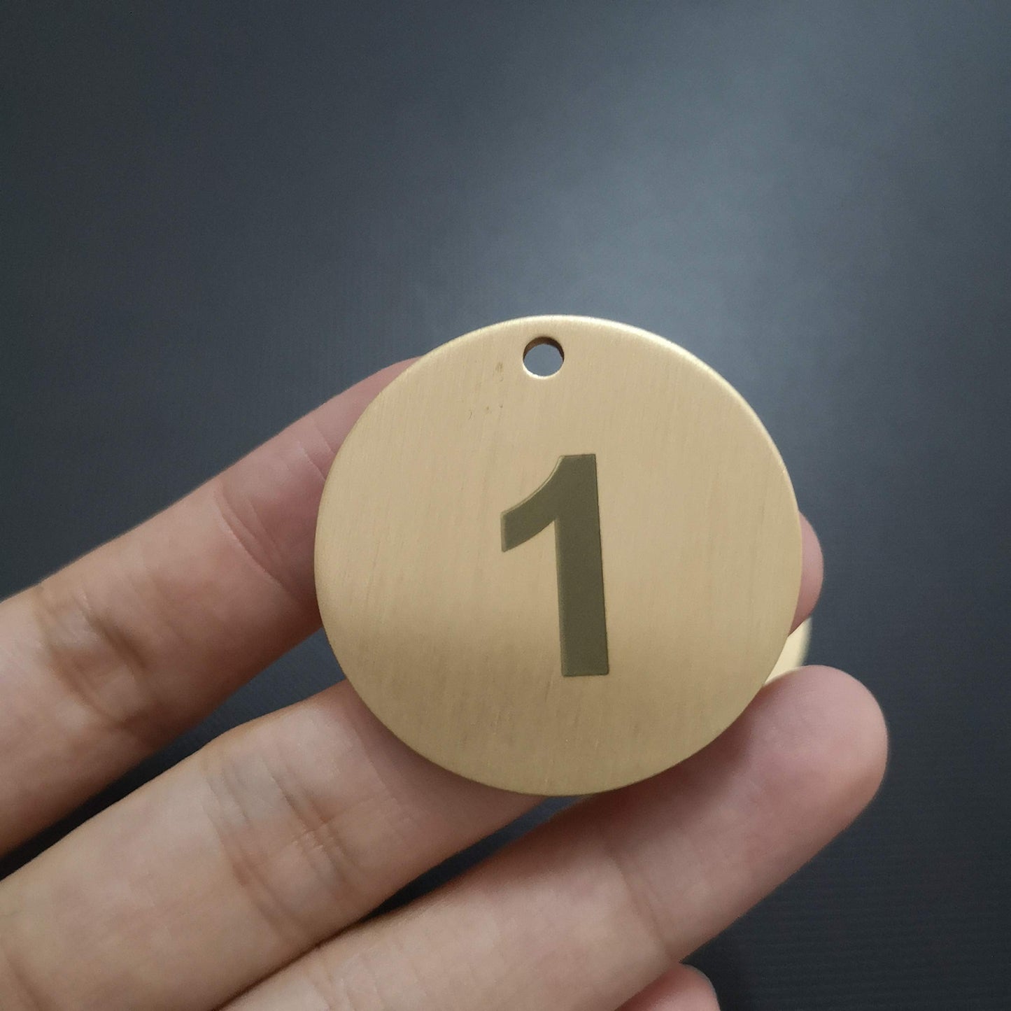 Numbered Brass Tags with Key Rings (1-10)