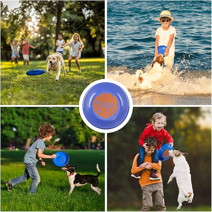 Wham-O Frisbee Fastback Flying Disc, 9.35 Inch Dog-Friendly Lightweight Sports Disc Toy for Outdoor Beach Backyard Games,Team Sports and Family Fun - 100g