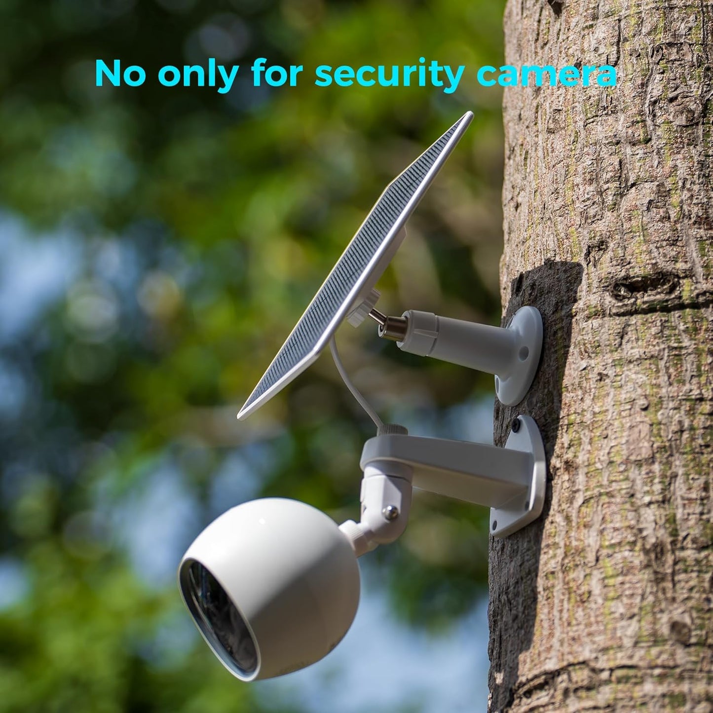 T1 1/4-inch 360 4kg (2 Pack Tr Male Mount Bracket, Indoor Outdoor, Adjustable for Security Camera Solar Panel Action
