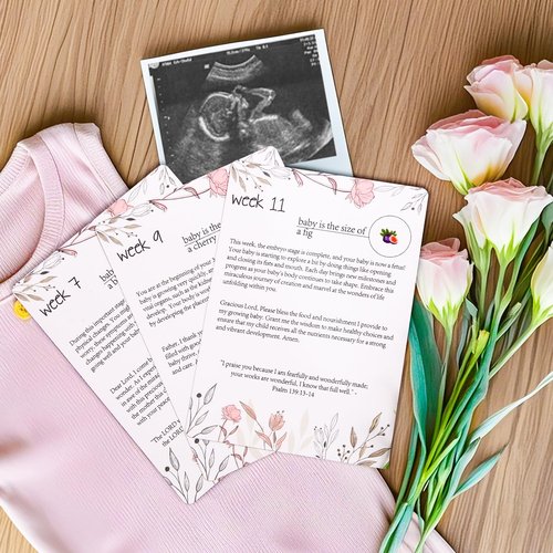 EIHFHIE 20 Pcs Pregnancy Prayer Cards, Pregnancy Must Haves for First Time Mom Gifts, 42 Weekly Prayer & Pregnancy Milestone Cards for Expecting Mother, Best Gifts for Expectant Moms
