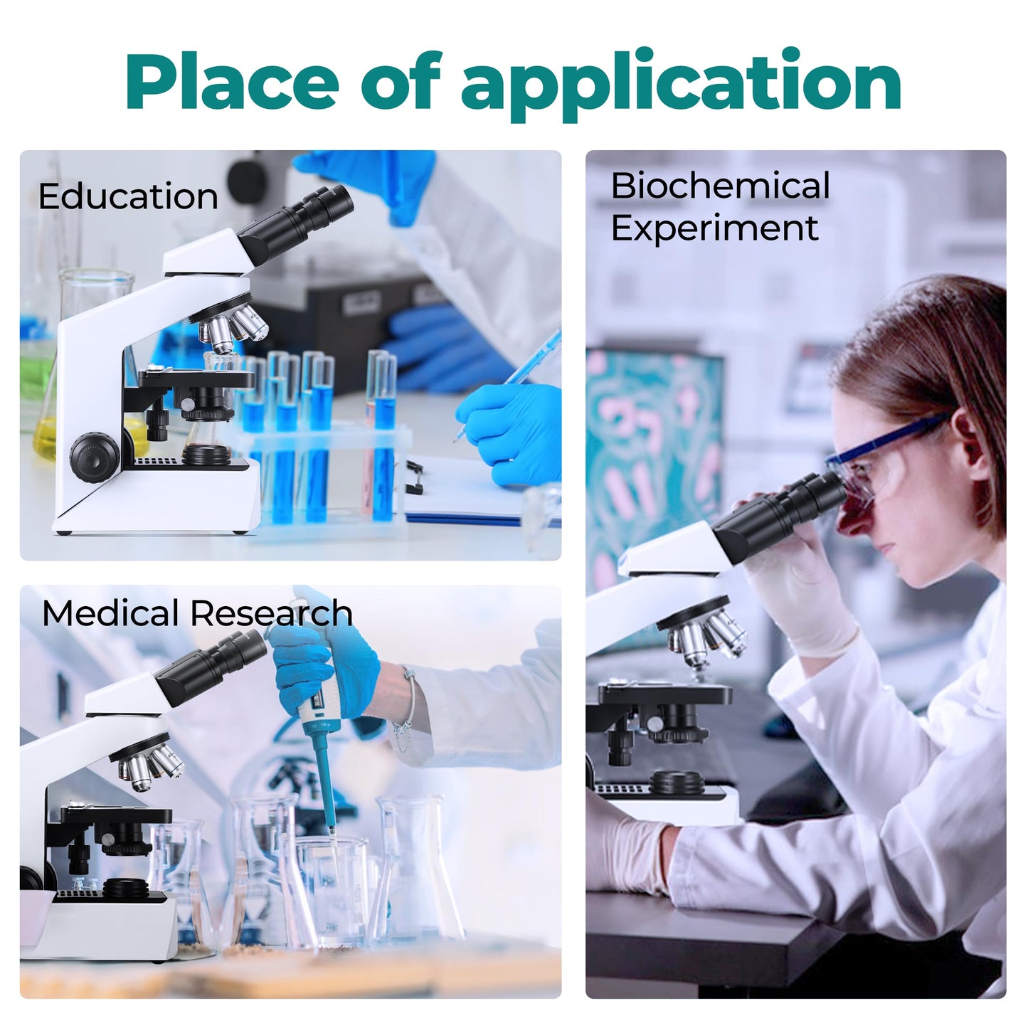 Sinher XSZ-2108A Professional lab Compound Binocular microscopes 40X-2000X Magnification for Kids Students Adults School Lab Home Education with Microscope Slides Set.