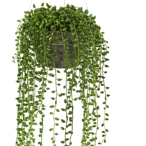 Nearly Natural String of Pearl Artificial Plant Hanging Basket