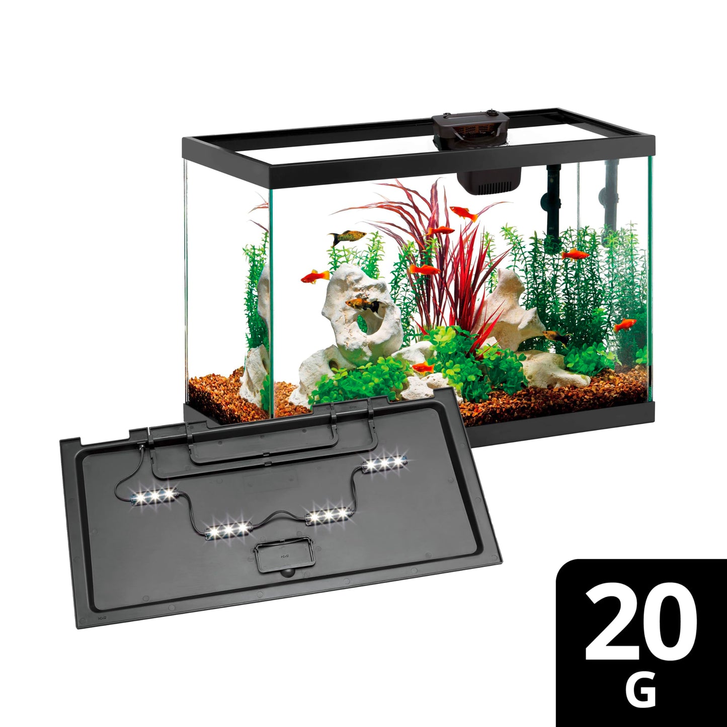 Aqueon Aquarium Starter Kit with Smart Clean Filtration and LED Lighting, Freshwater and Saltwater Fish, 20-Gallon