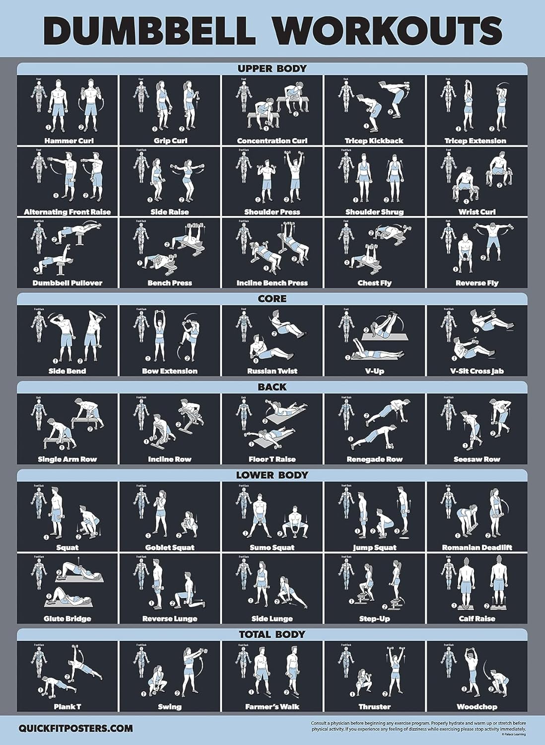 Palace Learning Dumbbell Workout Exercise Poster - Laminated, 18" x 24" | Dark Design