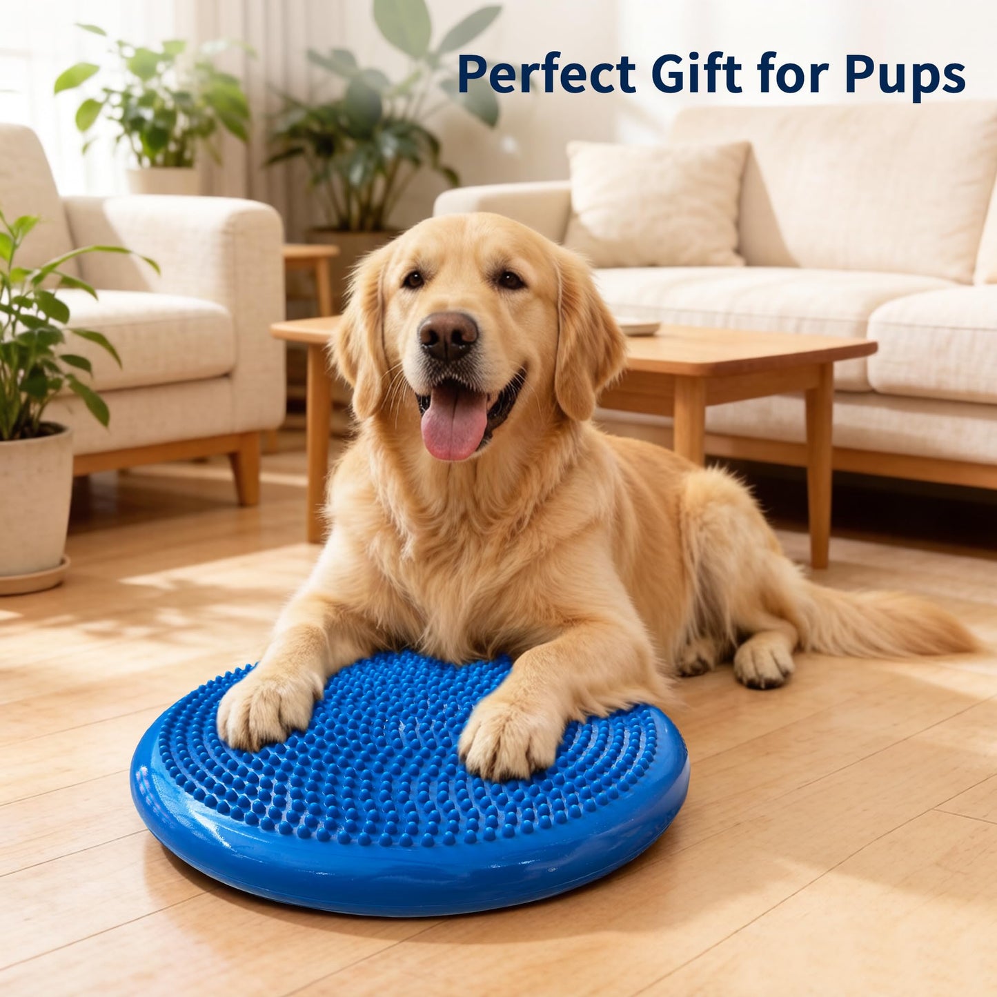 Wobble Cushion Balance Disc, Extra Thick Sensory Pad for Kids & Adults, Flexible Seating Core Strength Trainer for Posture Correction, Desk, Yoga & Stability Workout with Pump