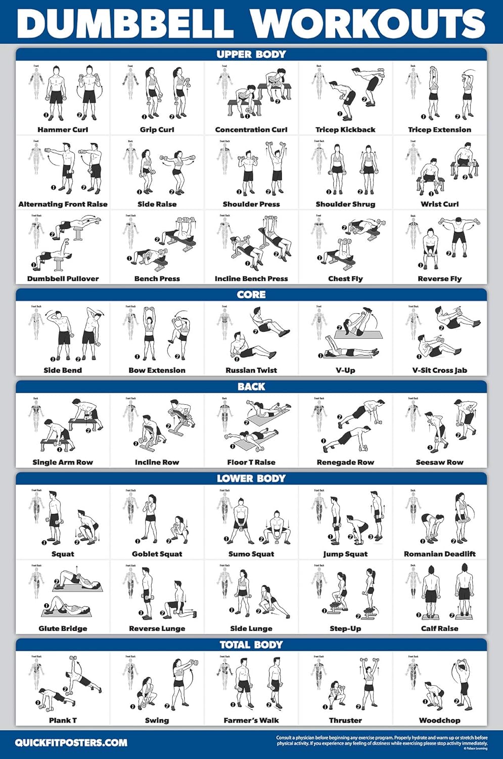 Palace Learning Dumbbell Workout Posters - Laminated Exercise Charts (18" x 24") | 3 Pack Volume 1, 2 & 3