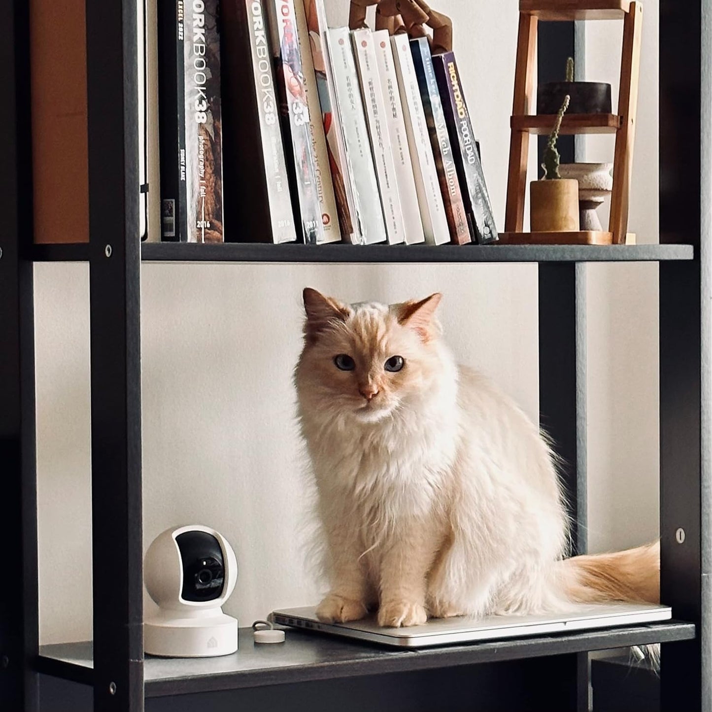 Tapo 1080p 2-Way EC70 Kasa Indoor Pan/Tilt Wired Security Camera - Works as a Baby & Pet Monitor, Motion Detection