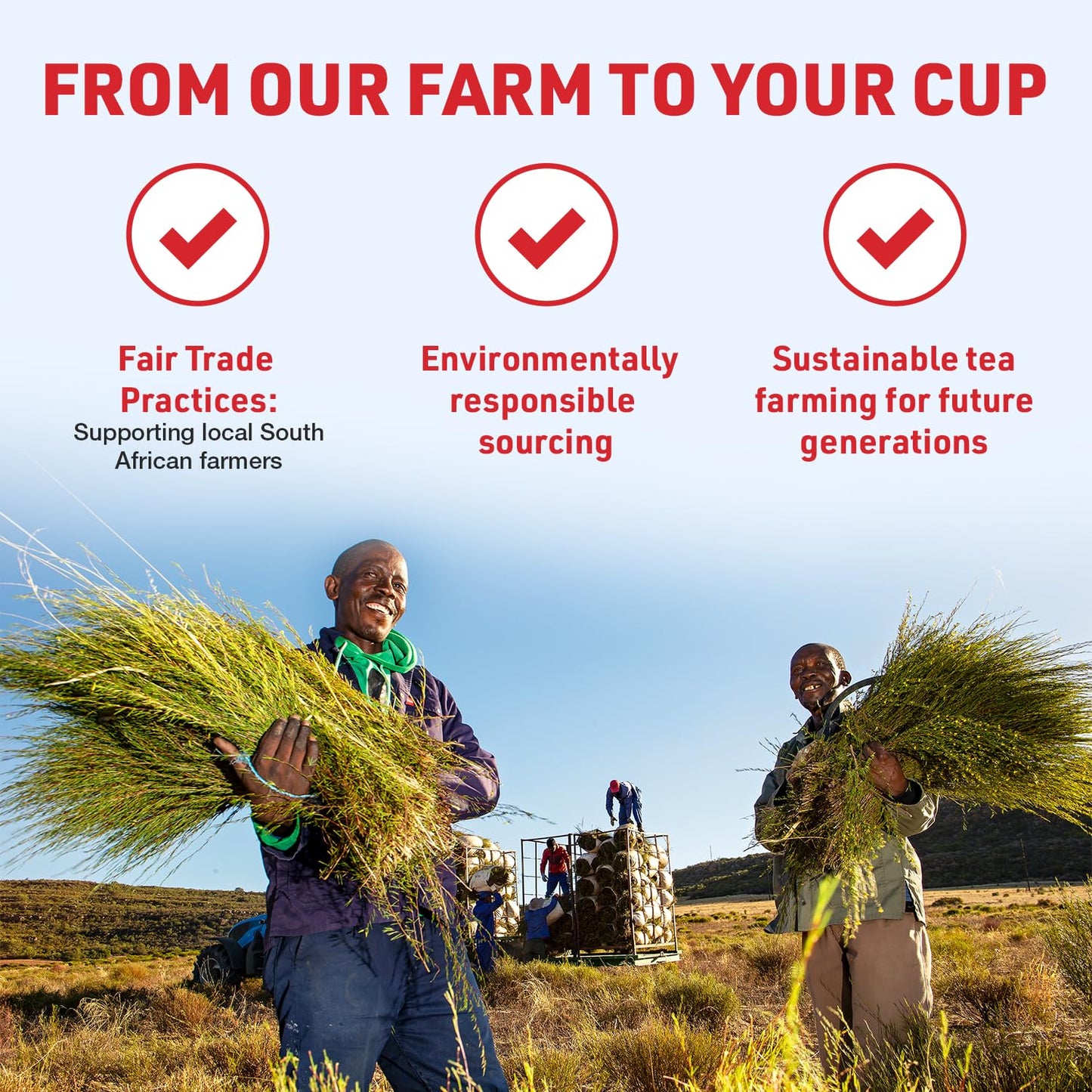 Caffeine Free Red Rooibos Tea Bags 40 - Naturally Sweet Herbal Tea Safe for Children and Pregnant Women - Low Tannin, Premium Organic Rooibos Tea Sustainably and Ethically Farmed in South Africa