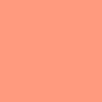 Set Shop #008 Lee Dark Salmon Gel Filter