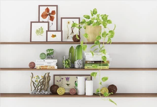 CSFOTO 10x7ft Modern Living Room Backdrop Green Plant Bookcase Office Zoom Backdrop for Video Conference Zoom Screen