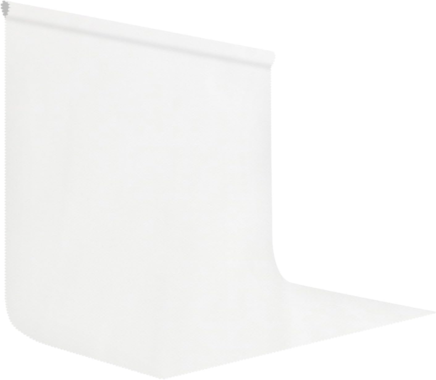 LYLYCTY 10x10FT White Large Screen Backdrop for Photography Zoom Meeting, Game Live Steaming and Photo Studio Shooting
