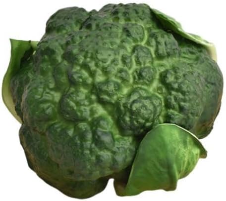 Generic Broccoli, Artificial Vegetable, Photo Prop, Simulation, Broccoli, Vegetable Model for The Kitchen, Green