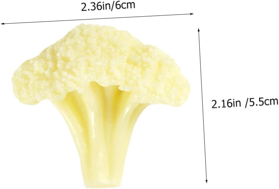 Vaguelly Fake Broccoli Slice Model Realistic Simulation Vegetable for Home Decor Photography Props and Educational Play