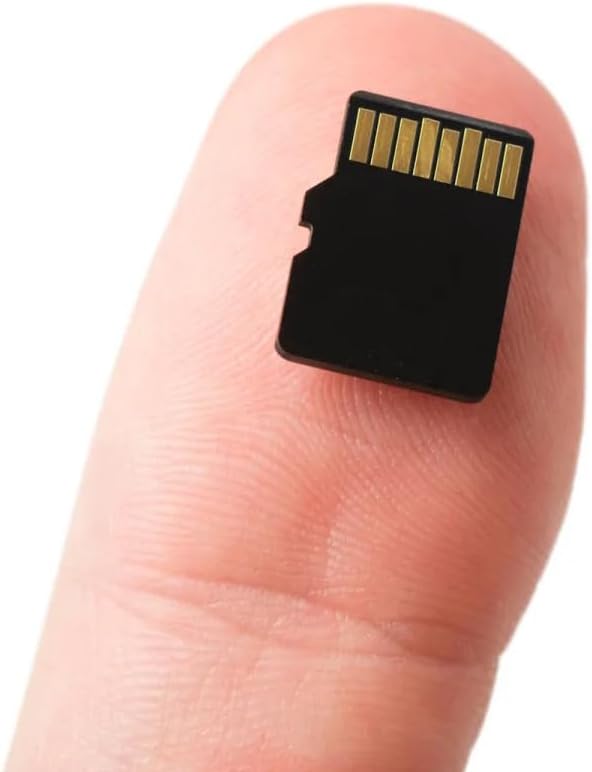 SECULINK FAT32 10 24/7 (64GB) TF Memory Card Format Class High Speed Reading/Writing Recording for Security Camera Dash