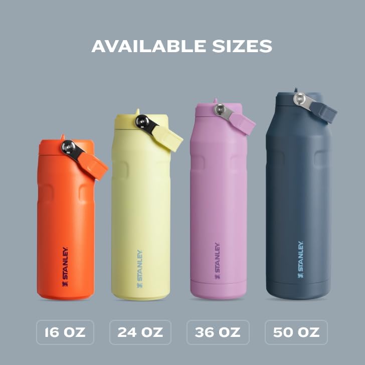 Stanley IceFlow 2.0 Water Bottle - 24 OZ Insulated Stainless Steel | Lightweight, Leak-Resistant & BPA-Free | Lilac