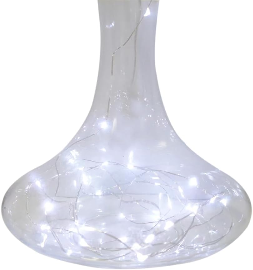 Skiennix LED Fairy Lights - Waterproof Battery Operated Silver Wire String Lights | 7 Feet, 20 LEDs for DIY Decor