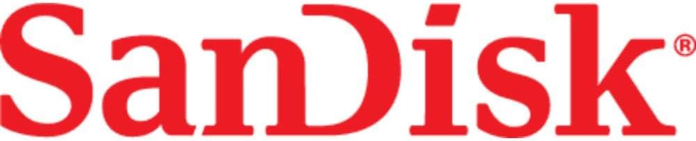Sandisk SDSDB-032G-B35 32GB 4MB/s 4 SDHC Memory Card Class
