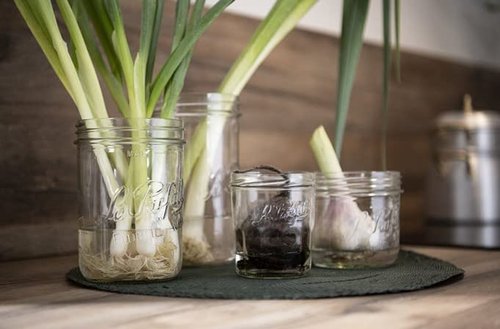 Le Parfait Familia Wiss Terrine Wide Mouth French Glass Jar w/Airtight 2-Piece System Gold Lids | Ideal for Canning, Food Storage, Meal Prep, Cake Jar & DIY Crafts | 7oz Half/Pint (Pack of 6) 200ml