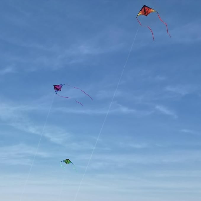 Large Delta Kite for Kids & Adults - Easy to Fly Outdoor Kites for Kids Ages 8-10, Perfect for Beach & Family Activities, Includes Line & Handle