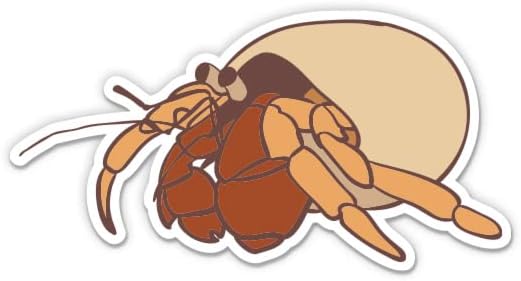 Sticker Mine 3" Hermit Crab Sticker - Laptop Sticker - Waterproof Vinyl for Car, Phone, Water Bottle - Cute Hermit Crab